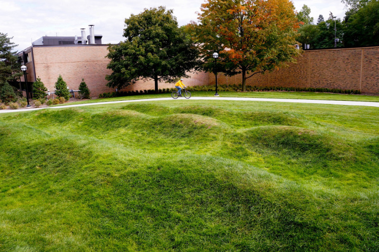 一块草坪空地的设计资料下载-美国绿色波形草坪
