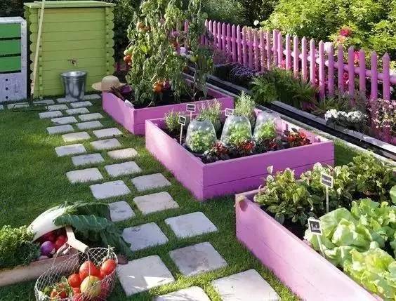 你家的小菜园可以做成什么样吗？_7