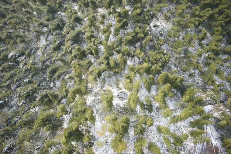 吐故纳新——丽水竹林剧场景观-丽水竹林剧场景观-6