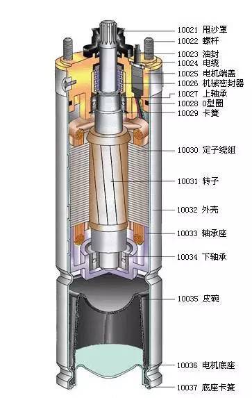 [分享]井用潜水泵的结构及工作原理