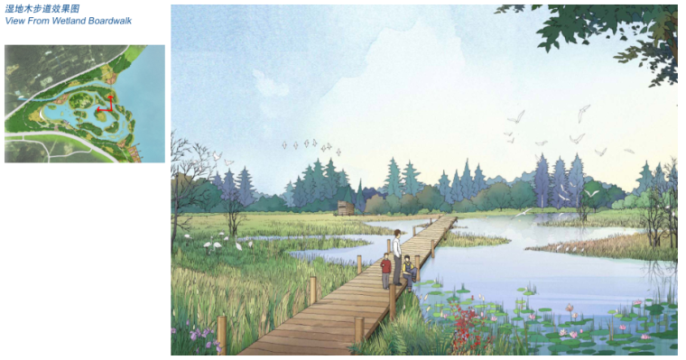 [浙江]宁波东钱湖景区南岸线项目水上花园、阳光水岸概念方案 A-2 湿地木道