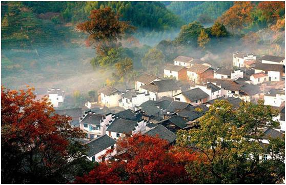 中国最美的20座呼吸小城，洗肺天堂有你的家乡吗？_13