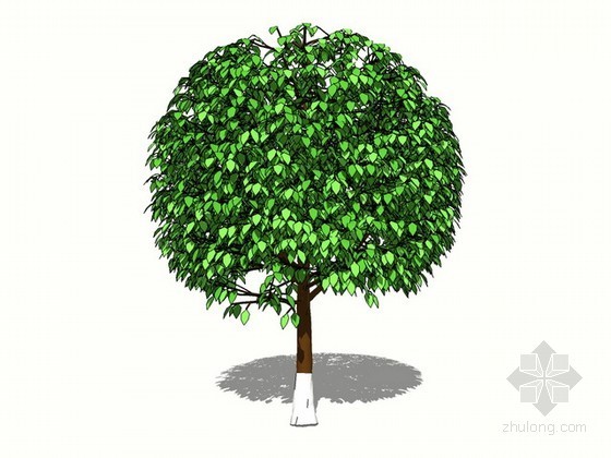 sketchup植物模型资料下载-植物大树sketchup模型下载