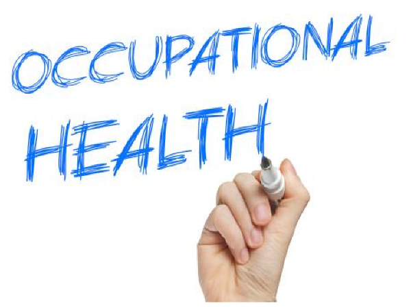 职业健康安全法律清单资料下载-职业健康安全管理方案