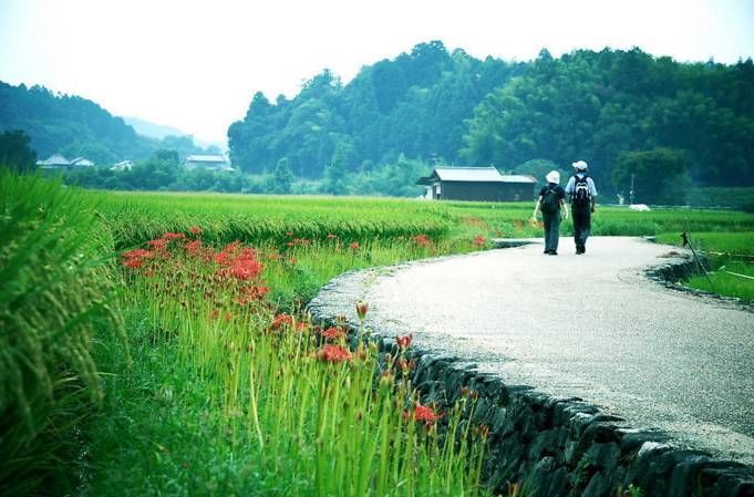 村庄景区化 | 乡村景观的升级方向_7