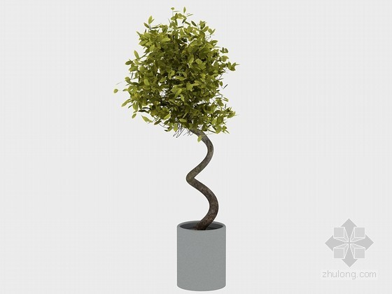 盆栽cad平面图资料下载-枝繁叶茂盆栽3D模型下载