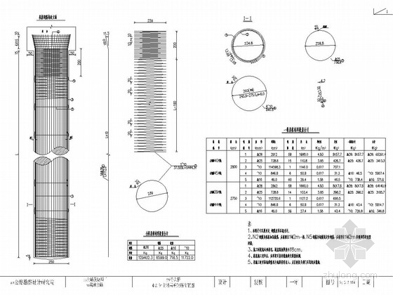 预应力混凝土连续刚构桥施工图CAD（245张 悬臂浇筑）-φ2.5m主墩基桩钢筋布置图 