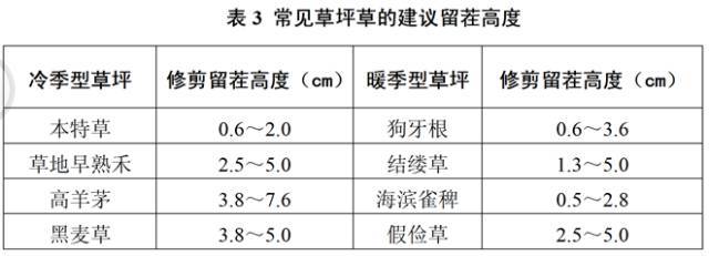 观赏草坪怎么建植，方法在这拿走不谢！_18