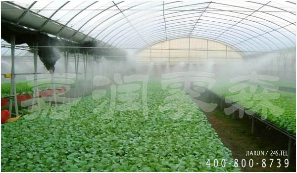 成都某非机动车停车大棚资料下载-成都花卉园艺调湿设备
