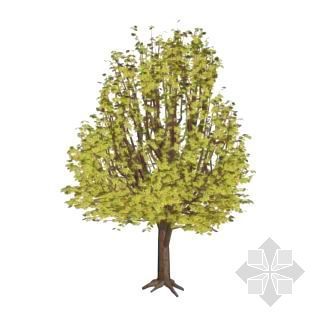室外绿化3D模型资料下载-秋天的树4