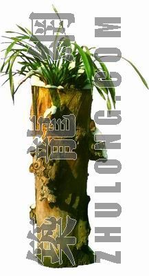 PSD室内盆栽资料下载-多树 54
