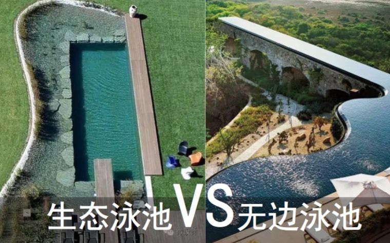 SU无边泳池资料下载-当下最流行的两种泳池：生态泳池VS无边泳池