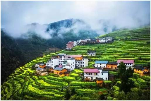 中国最美的20座呼吸小城，洗肺天堂有你的家乡吗？_74