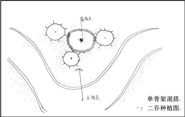 植物配置施工要点，绝对的干货_5