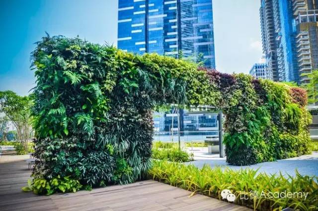 为什么全世界都向新加坡学习垂直绿化_2