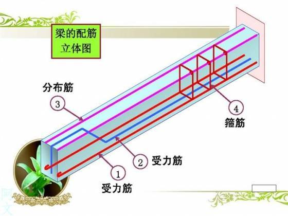 干工程看不懂钢筋配筋图，这太可怕了_8