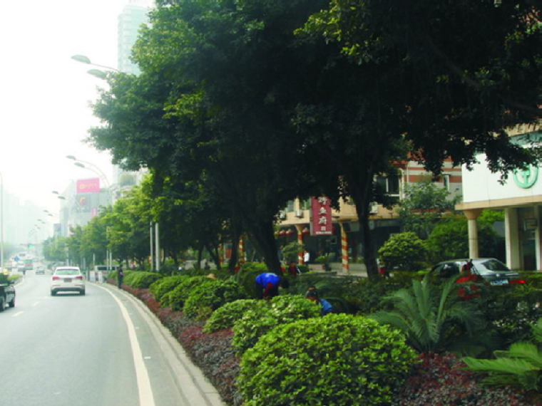 城市道路的人性化设计理念资料下载-城市道路绿化设计讲义总结（92页）