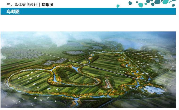 张掖湿地公园设计资料下载-莲花湖湿地公园景观工程设计方案PDF(86页)