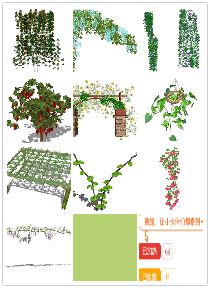校园绿植PSD分层素材资料下载-十个绿植，自己收集的，分享给大家