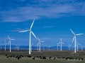 [江苏]低风速风电场工程监理总结（2015年编）