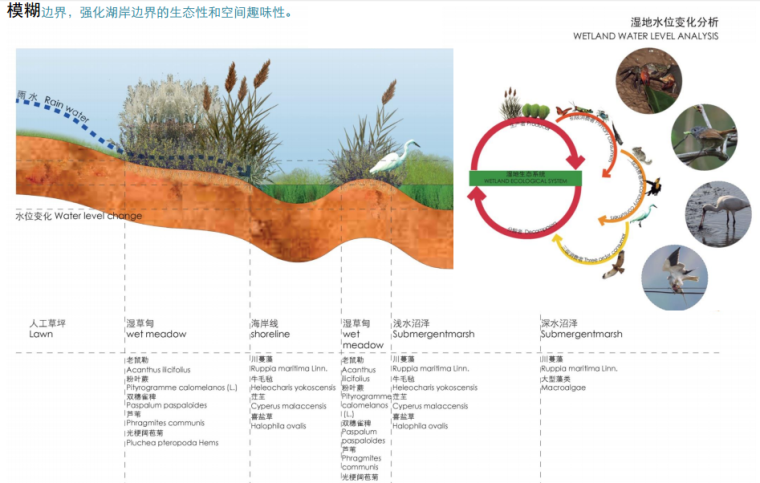 [深圳]湾内湖公园景观设计方案文本B-4边界