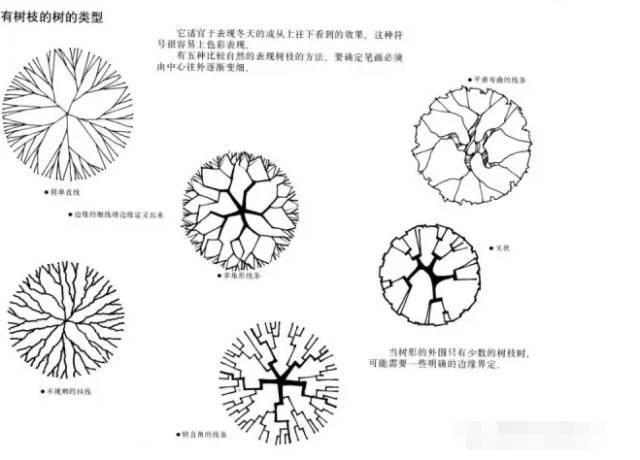 景观快题设计中植物表达技法！_5