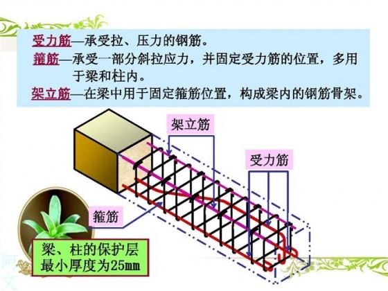 干工程，不管你在什么岗位，一定要看懂钢筋配筋图！_6