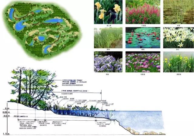 野鸭湖 · 北京最大最美湿地公园_10