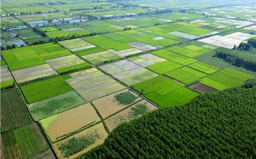 重庆高标准农田监理细则资料下载-高标准农田项目监理大纲(完整版)