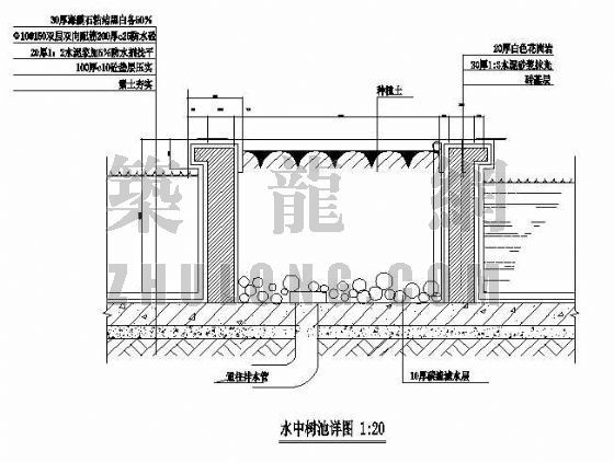 水中射灯做法详图资料下载-水中树池详图