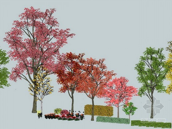 景观植物su模型资料下载-植物sketchup模型下载