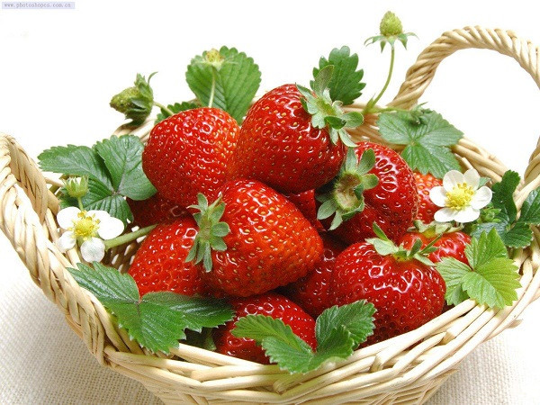 草莓冷库安装  草莓保鲜冷库如何设计建造-草莓.jpg