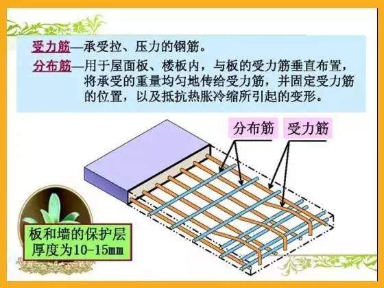 9张图教你看懂配筋图_7