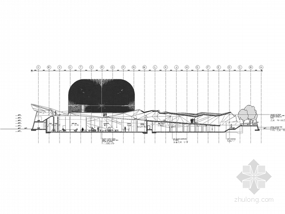 [上海]西欧大型国家馆建筑施工图（上海知名大学设计院设计）-剖面图