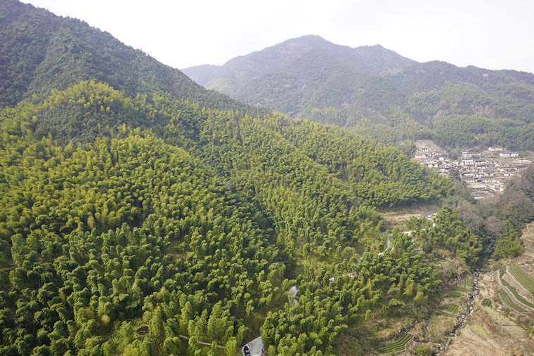 丽水竹林剧场景观实景图