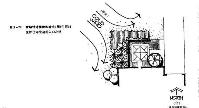 园林植物配置，就要这样！！_30