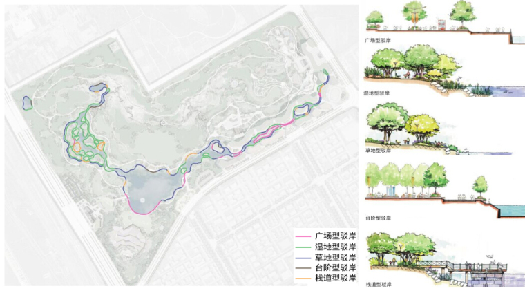 [天津]“山水人”生态和谐公园景观设计方案-水体驳岸设计