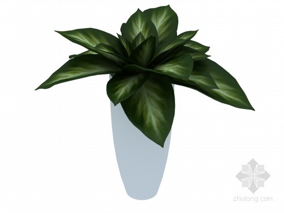 绿植3d模型资料下载-大叶绿植3D模型下载