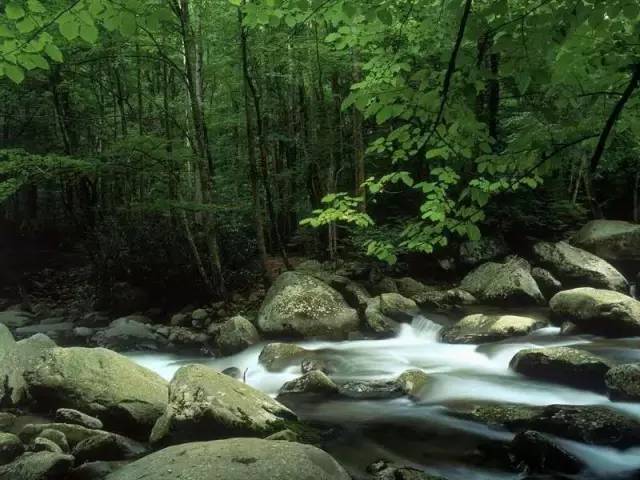 听溪水潺潺，净化繁杂的心灵_6