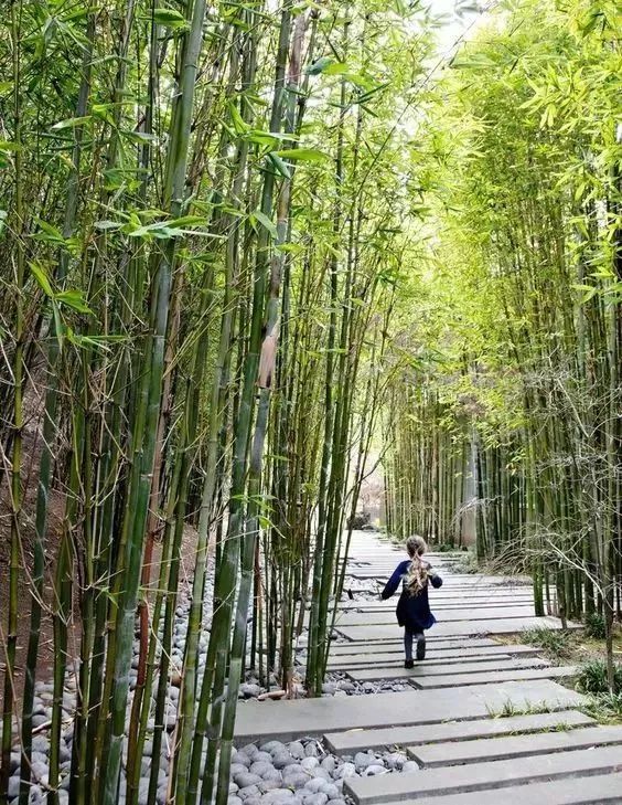 禅文化居住区资料下载-竹子的常用9大设计手法