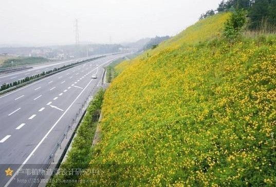 su藤蔓室内资料下载-藤蔓植物在景观中的应用